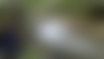 Les bonnes stratégies et fondamentaux de la pêche à la truite