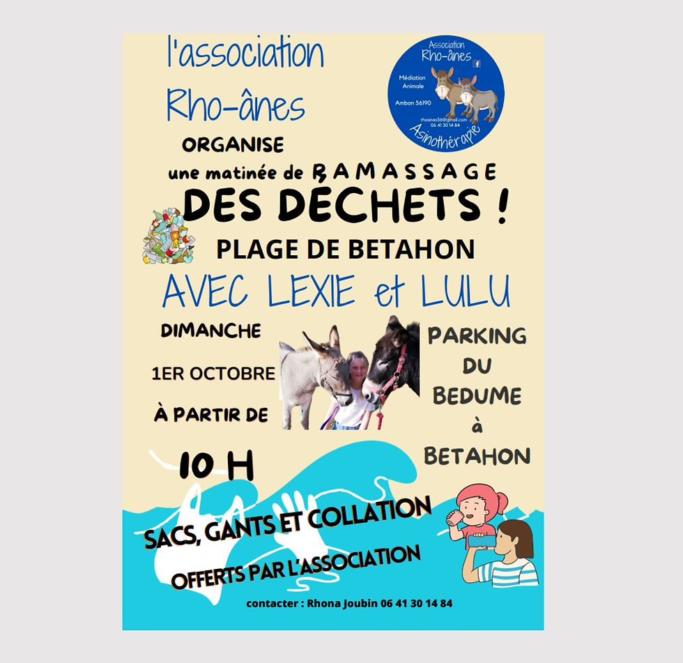 Matinée de ramassage des déchets
