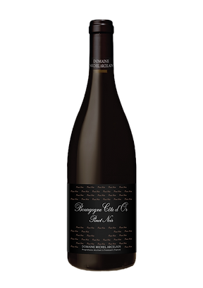 Bourgogne Côte d’Or Pinot Noir
