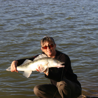 Stratégies pour réussir la pêche du sandre, de la perche du black-bass et du brochet