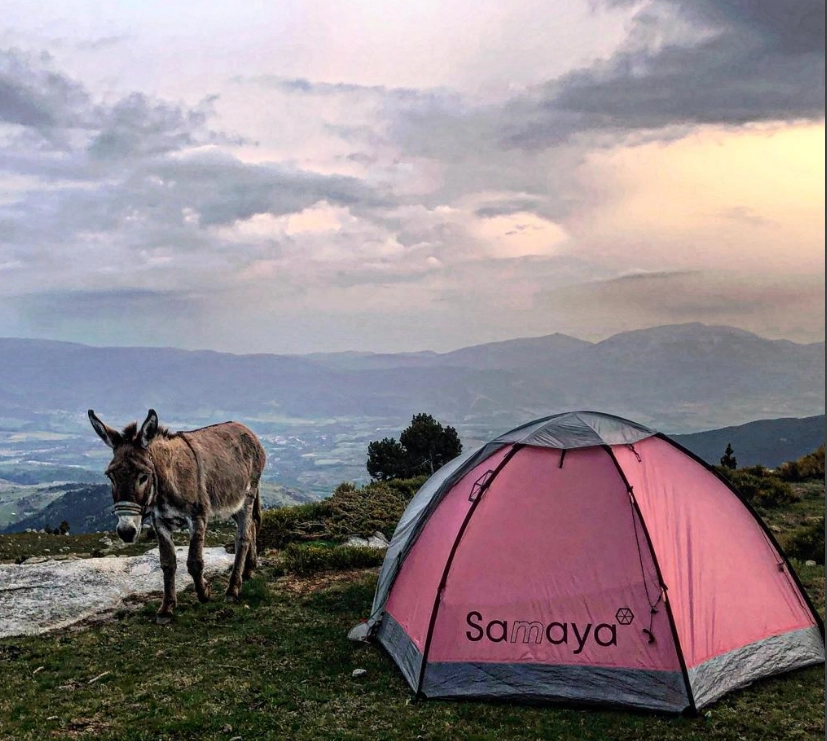 Camping sauvage avec Jones, lors de la traversée des Pyrénées en 2023.