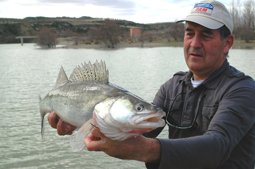 Des trucs et astuces pour réussir à bien pêcher le sandre