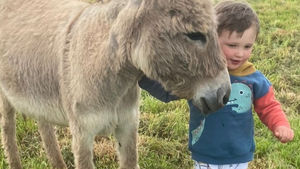 Nouvelle association : Rho-âne