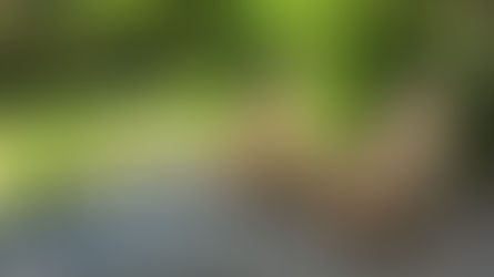 Deux fauteuils Adirondack viennent embellir ce jardin dans le Var 