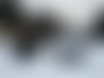 Det säkra före det osäkra