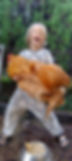 550091602_10239256688013560_7024160506917754764_n.webp
