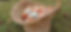 550264118_10239218763105461_6857978423121891256_n.webp