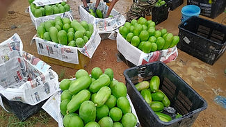 WhatsApp Image 2025-11-16 at 21.21.33 (1).jpeg