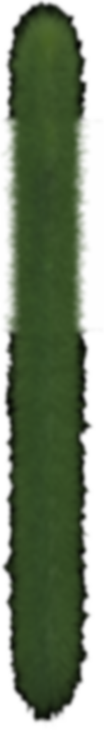 moss panel.png