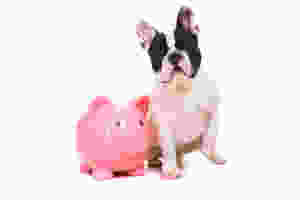 how much does it cost to own a pet