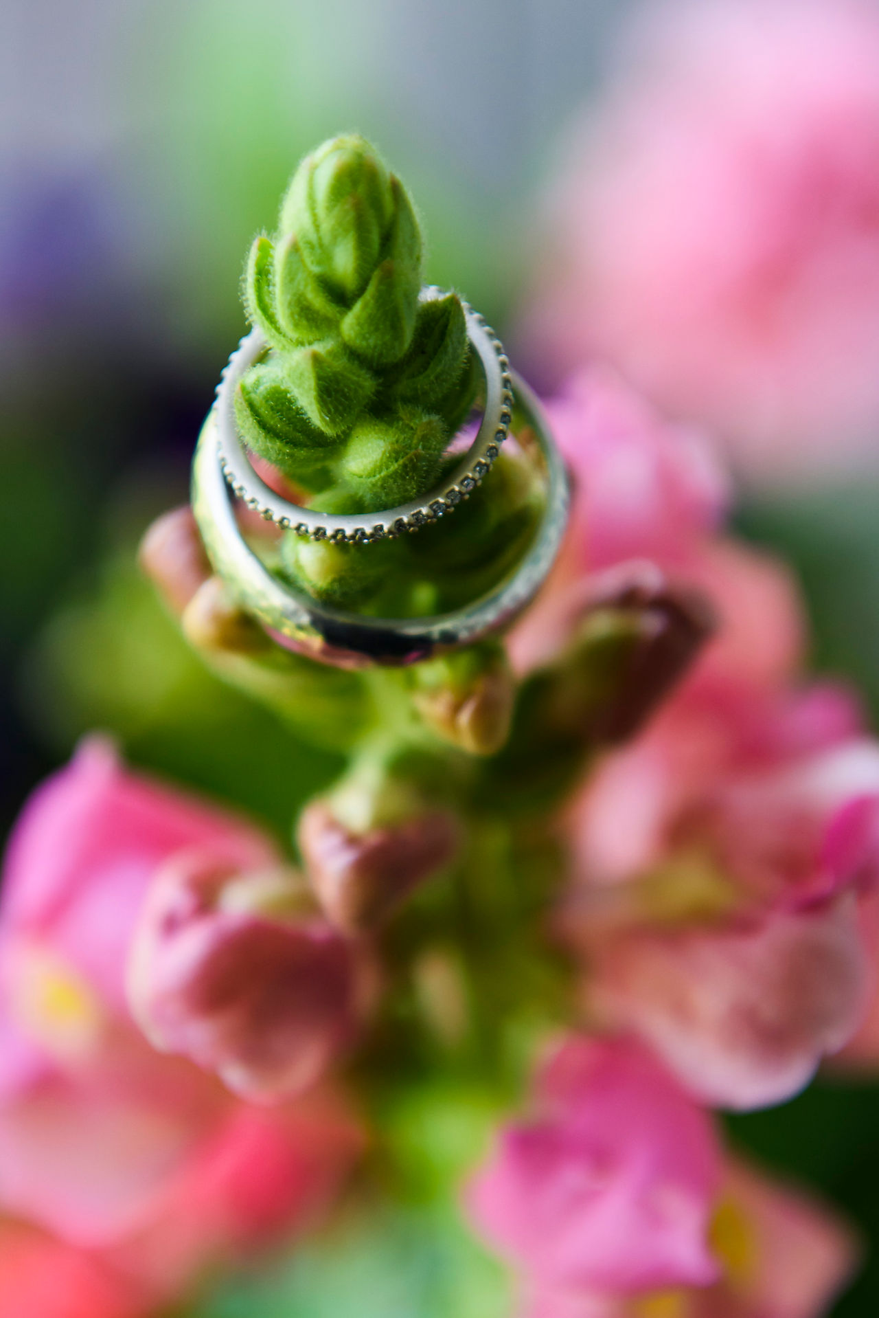 A photo of wedding rings photo by David Welch Photography