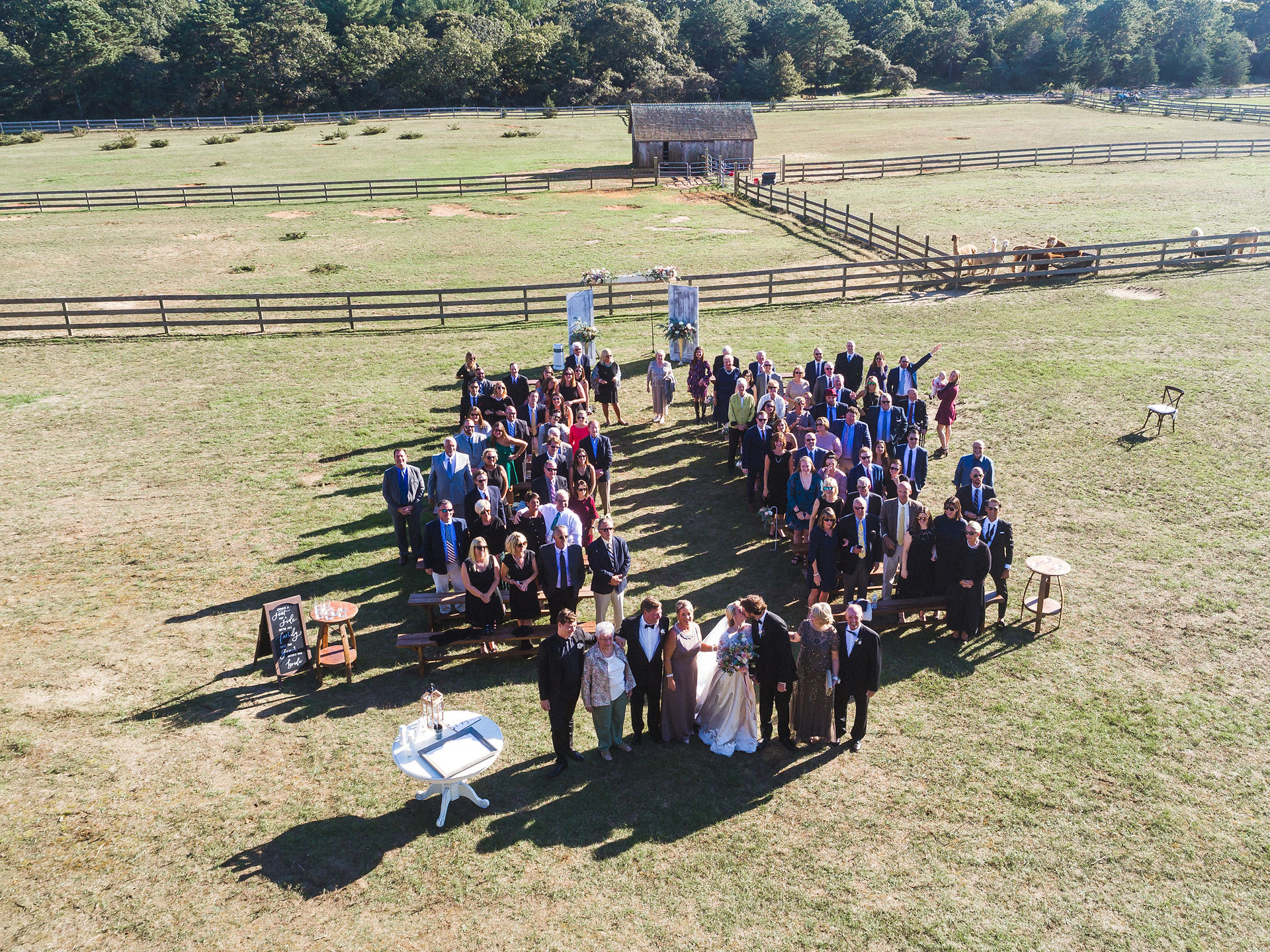 A drone photo of all wedding guests at Island Alpaca Company photo by David Welch Photography