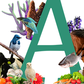 Animales