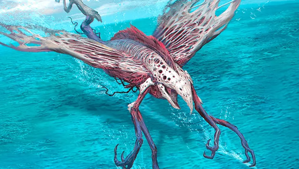 Trade Routes Commander Night