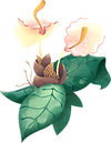 Flor tropical