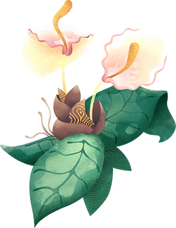 Flor tropical