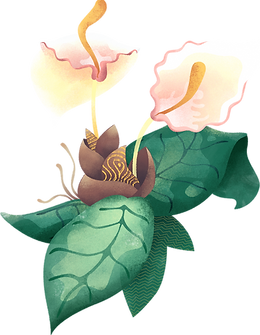 tropische Blume