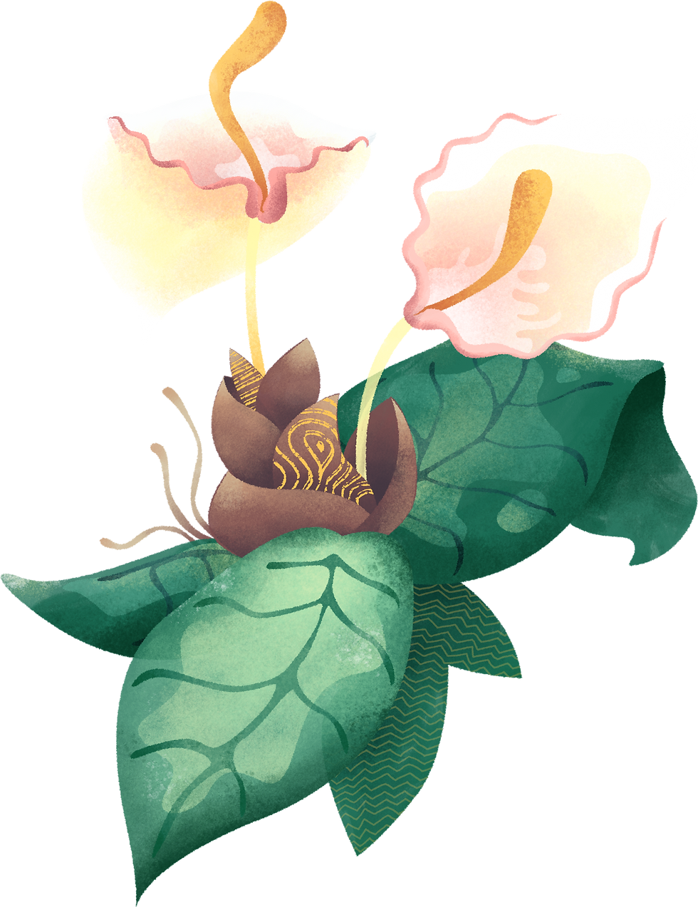 Tropical Flower