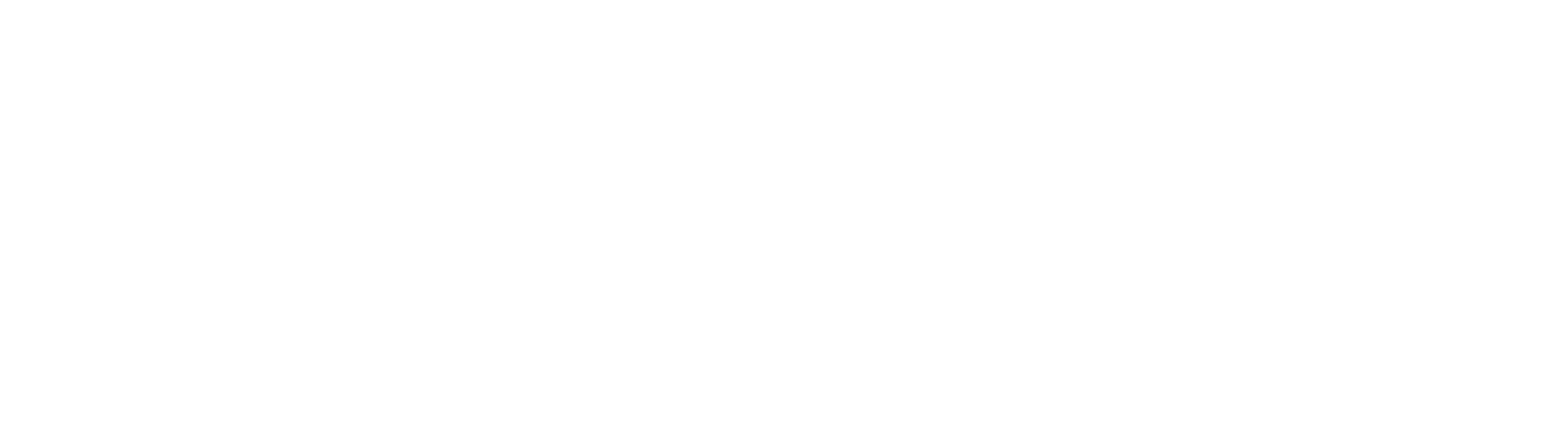 OSOL Logo White.png