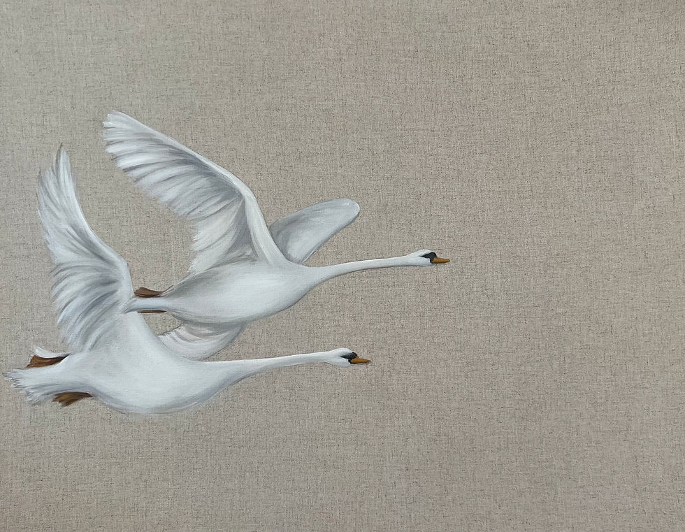swans commission kathryn oconnor