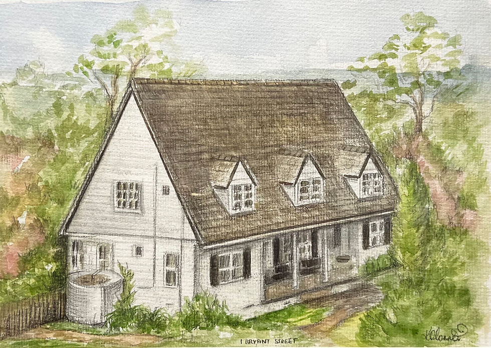 house portrait kittyoart water colour