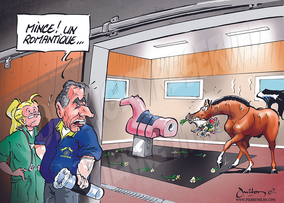 dessin chevaux 020