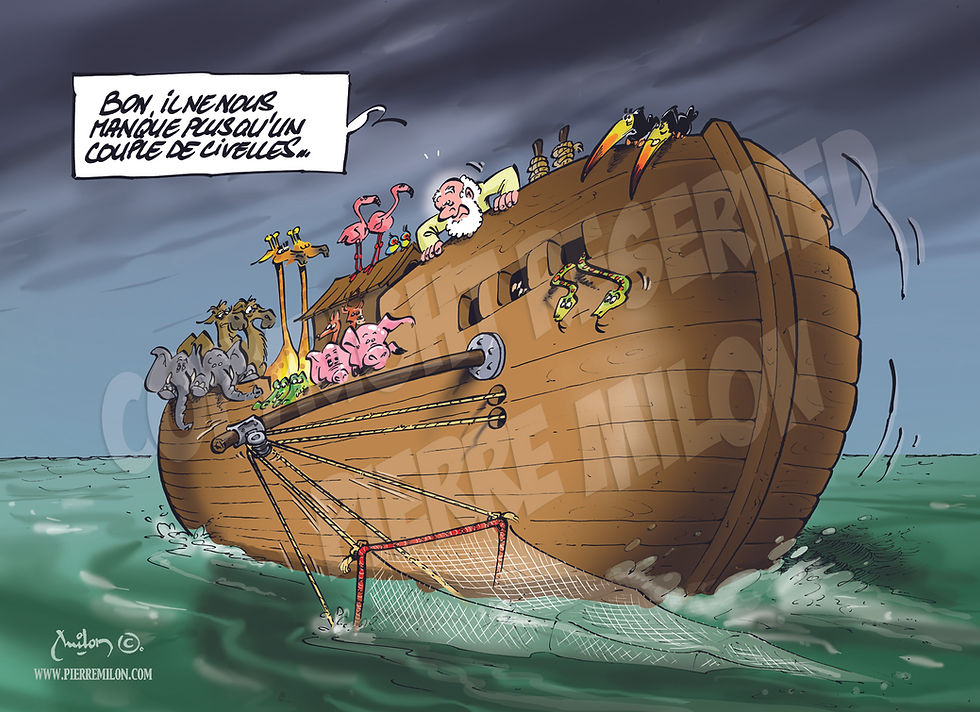 dessin écologie 005
