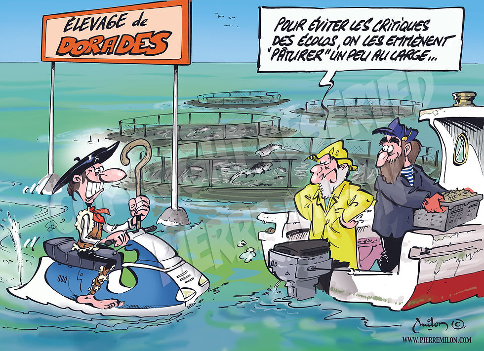 dessin écologie 012