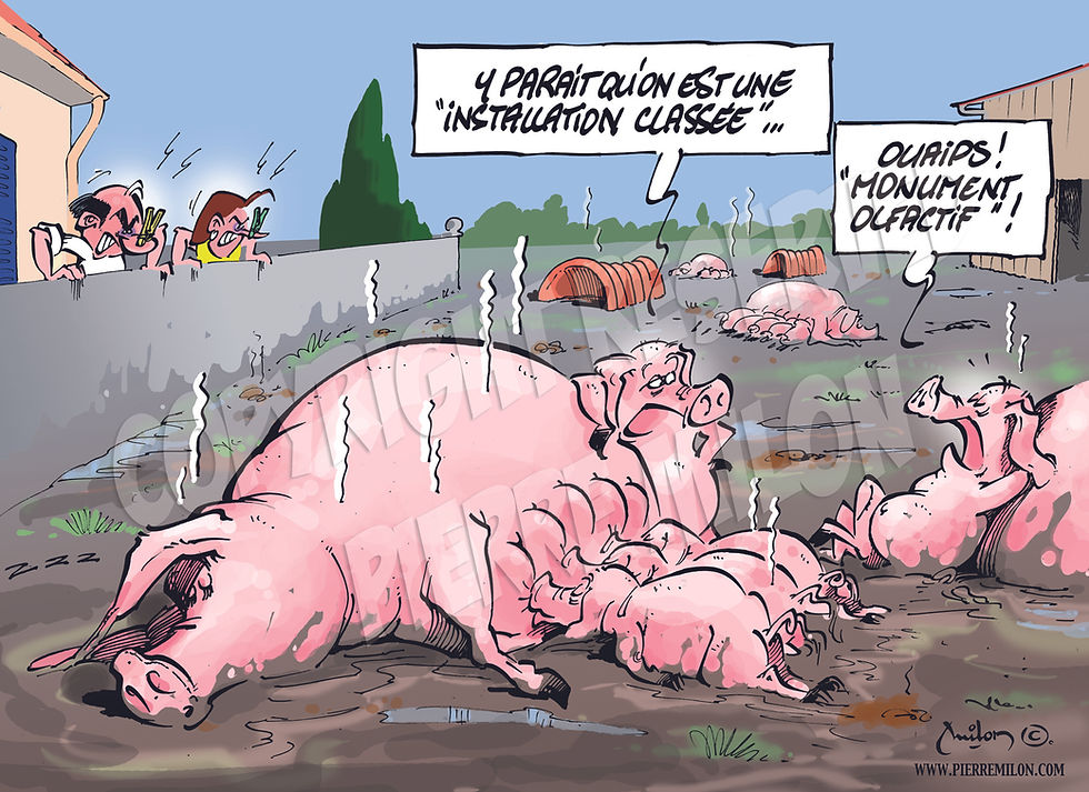 dessin écologie 013