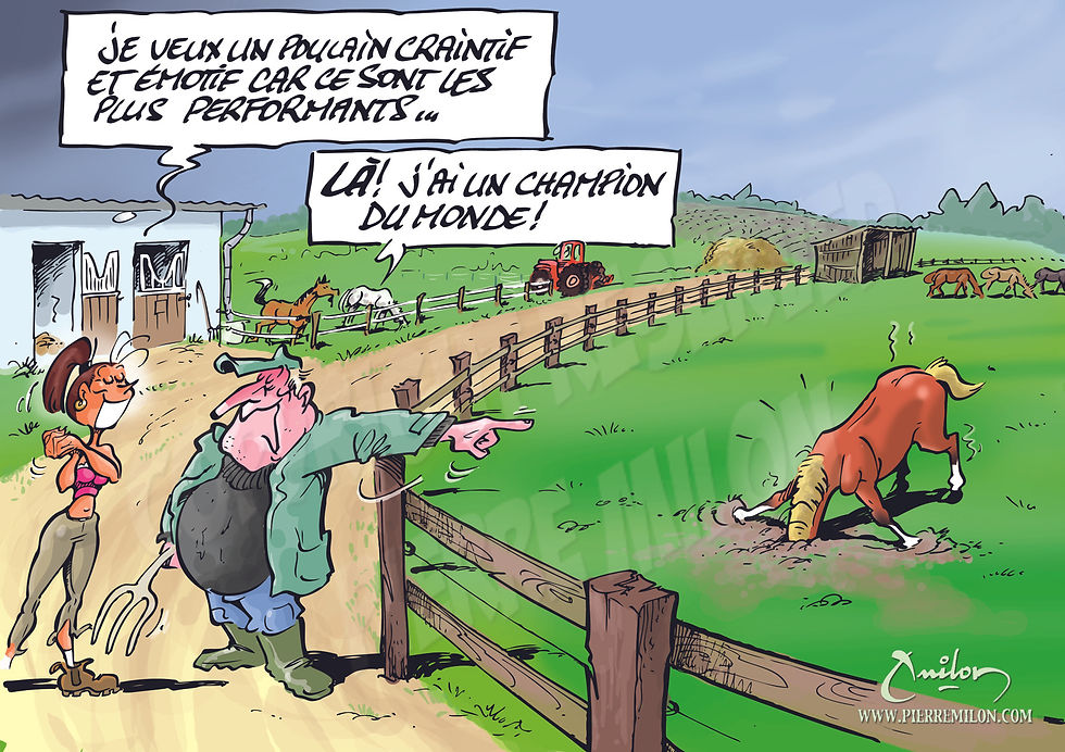dessin chevaux 017