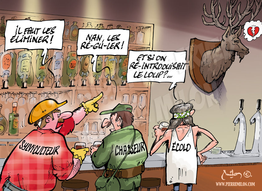 dessin écologie 002