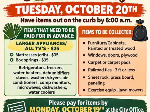 Fall Citywide Clean-up!