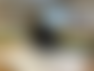 Stations Journal Journey #35