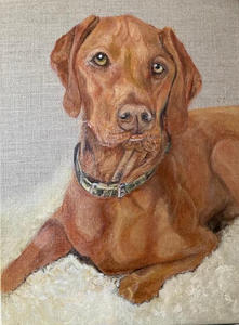 Gibson Hound 30 x 40 cm Oil on Linen Canvas
A Card is available in the shop of you can order a personalised commission for your pet.