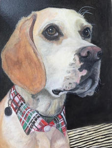 Prince Basset Hound 30 x 40 cm Oil on Canvas