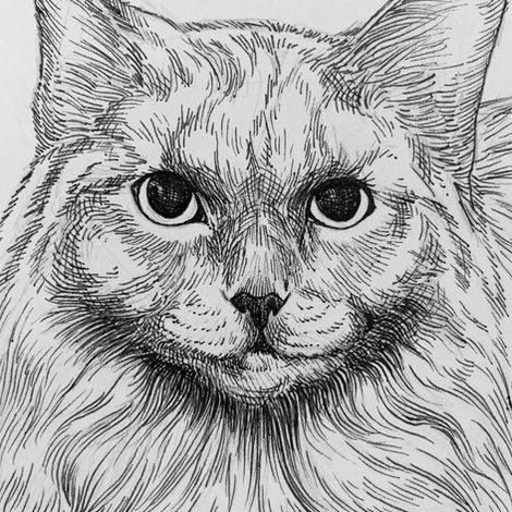 pen-ink-penny-01.jpg