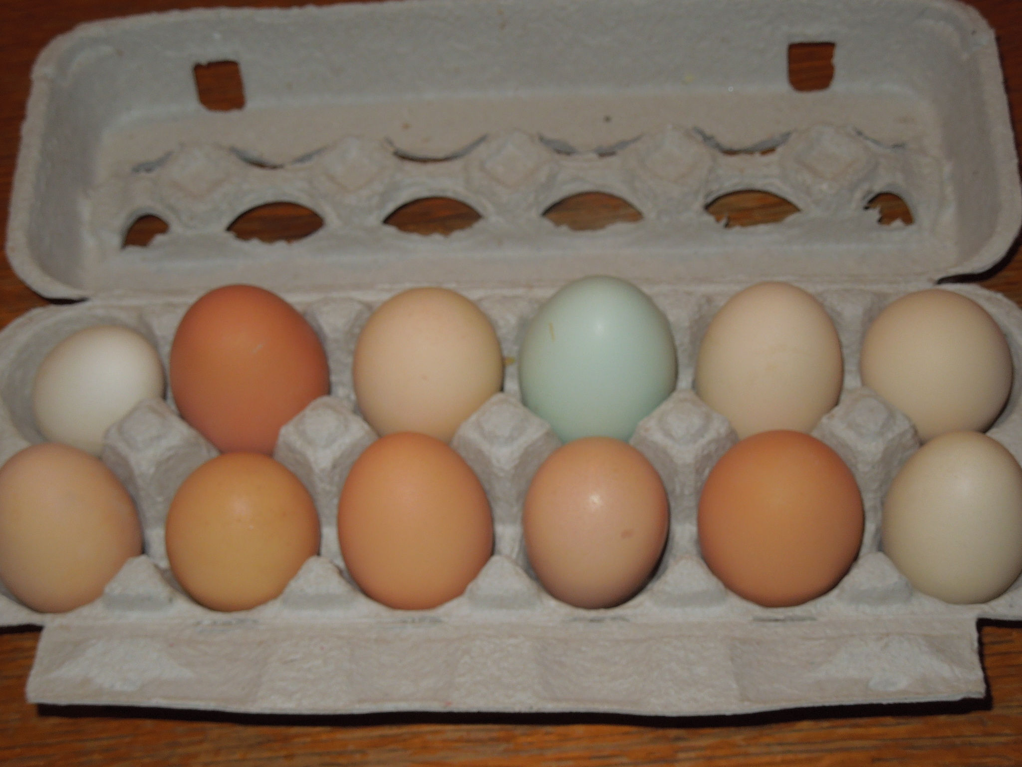 Dozen Farm Fresh Eggs