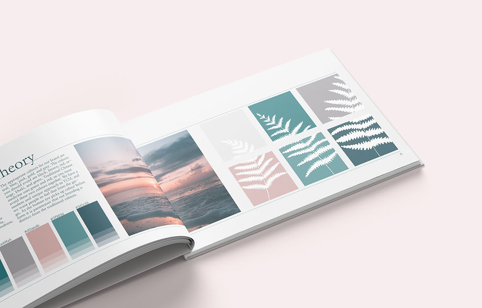 brand book design for for traditional Chinese medicine
