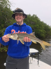 Snook