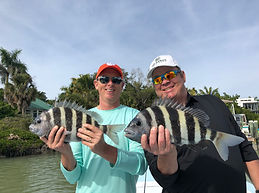 Sheepshead