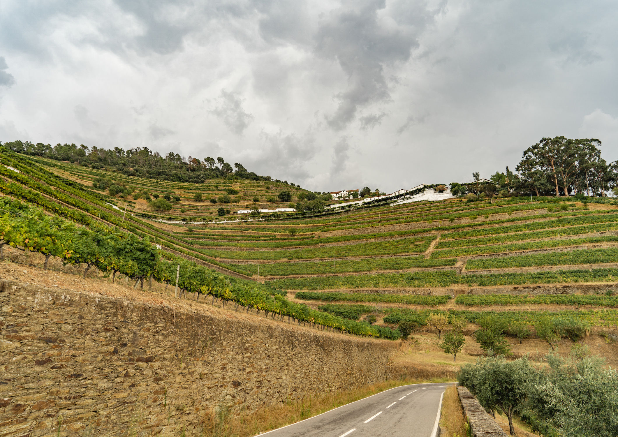 Quinta do Noval, Douro