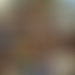 The Romanticisation Of Life