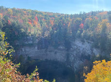 A peaceful fall hiking trail surrounded by trees with leaves changing into vibrant shades of red, orange, and gold.