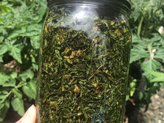 Cannabis/Hemp Infused Oil 