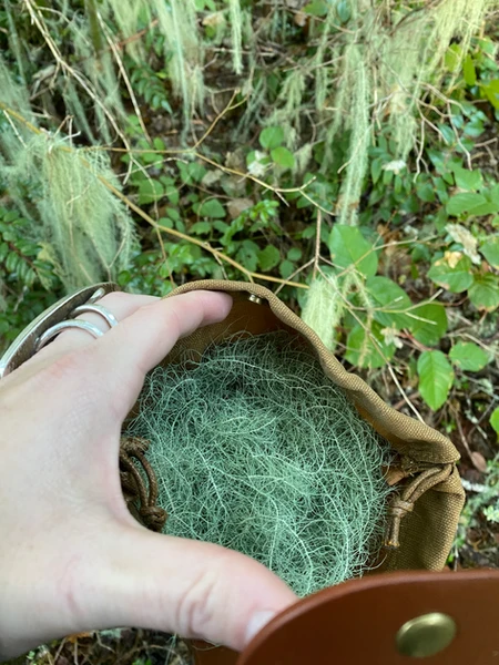 unseat foraged