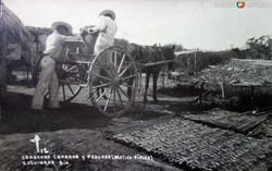 EN COOPERATIVA, SECANDO CAMARÓN