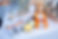 2024goomeripumpkinfestival-83.jpg