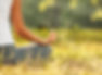meditator with butterfly.jpg
