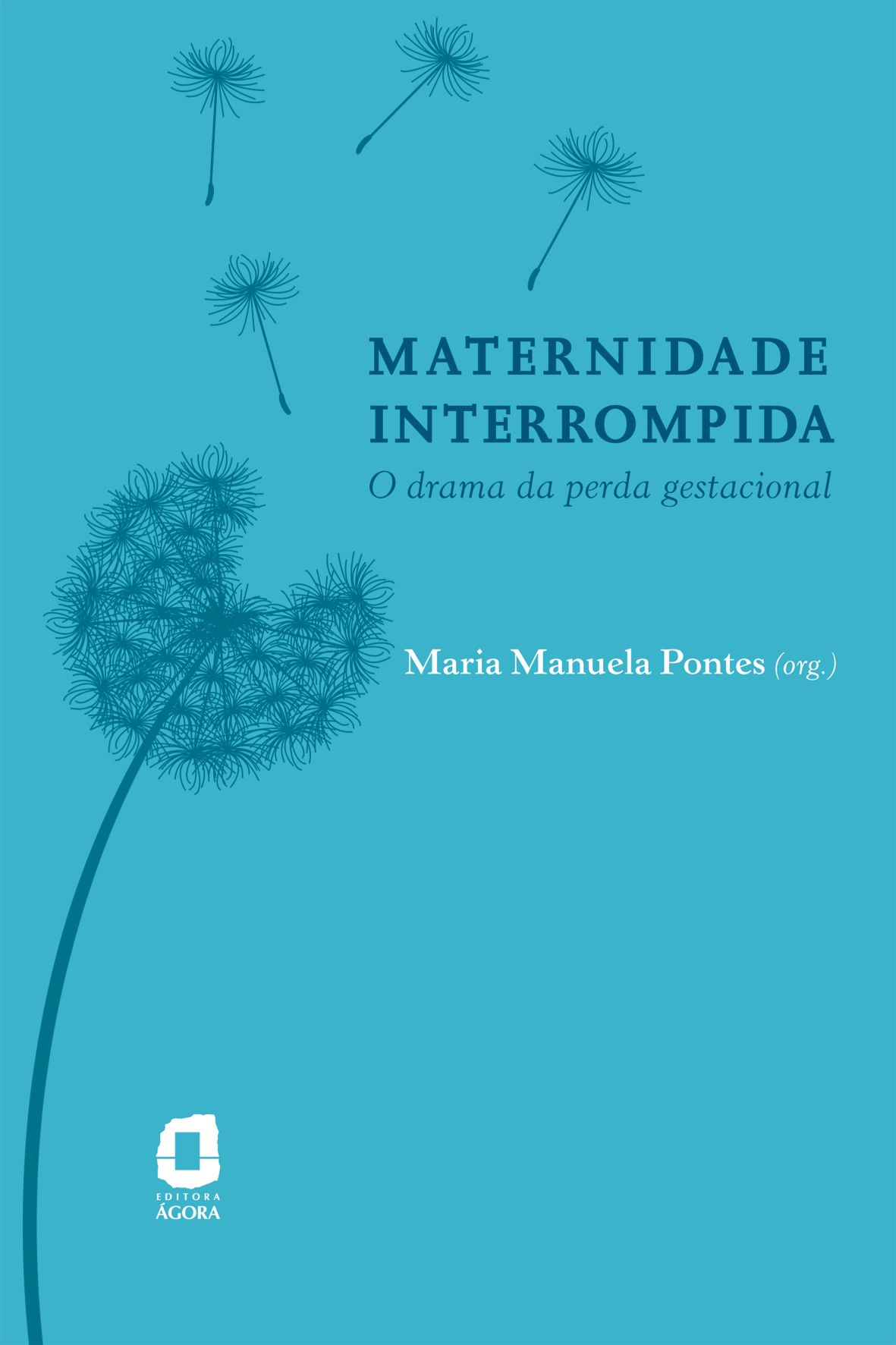 Maternidade interrompida O drama da perda gestacional