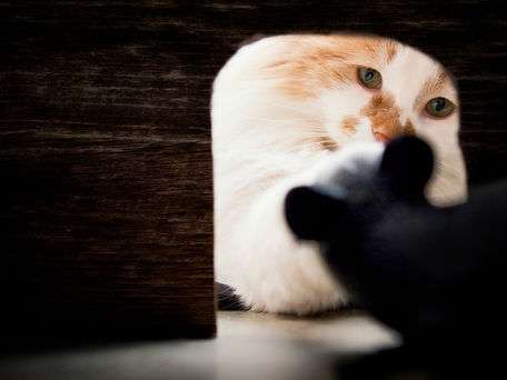 Ausdauer - manchmal Segen, manchmal Fluch